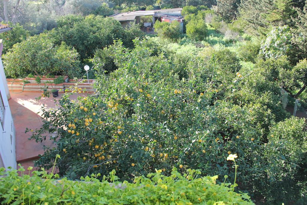 La Casa Di Jo Bed and Breakfast Vittoria Esterno foto
